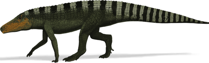 cropped-batrachatomus1-e1493905478450.png
