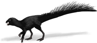 HeterodontosaurusLight